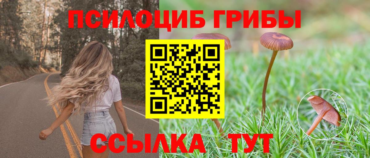 Галлюциногенные грибы мухоморы  Вход с VPN  Саянск 