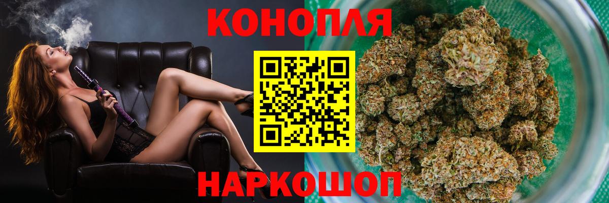 Конопля гибрид Саянск